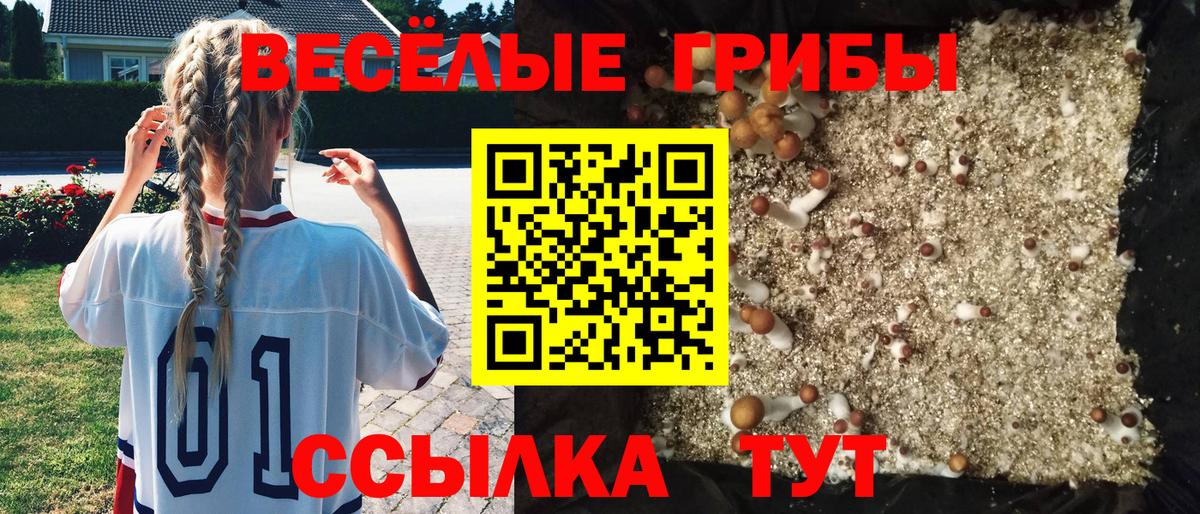 Нижнеудинск  Галлюциногенные грибы ЛСД  наркота  Вход с VPN 